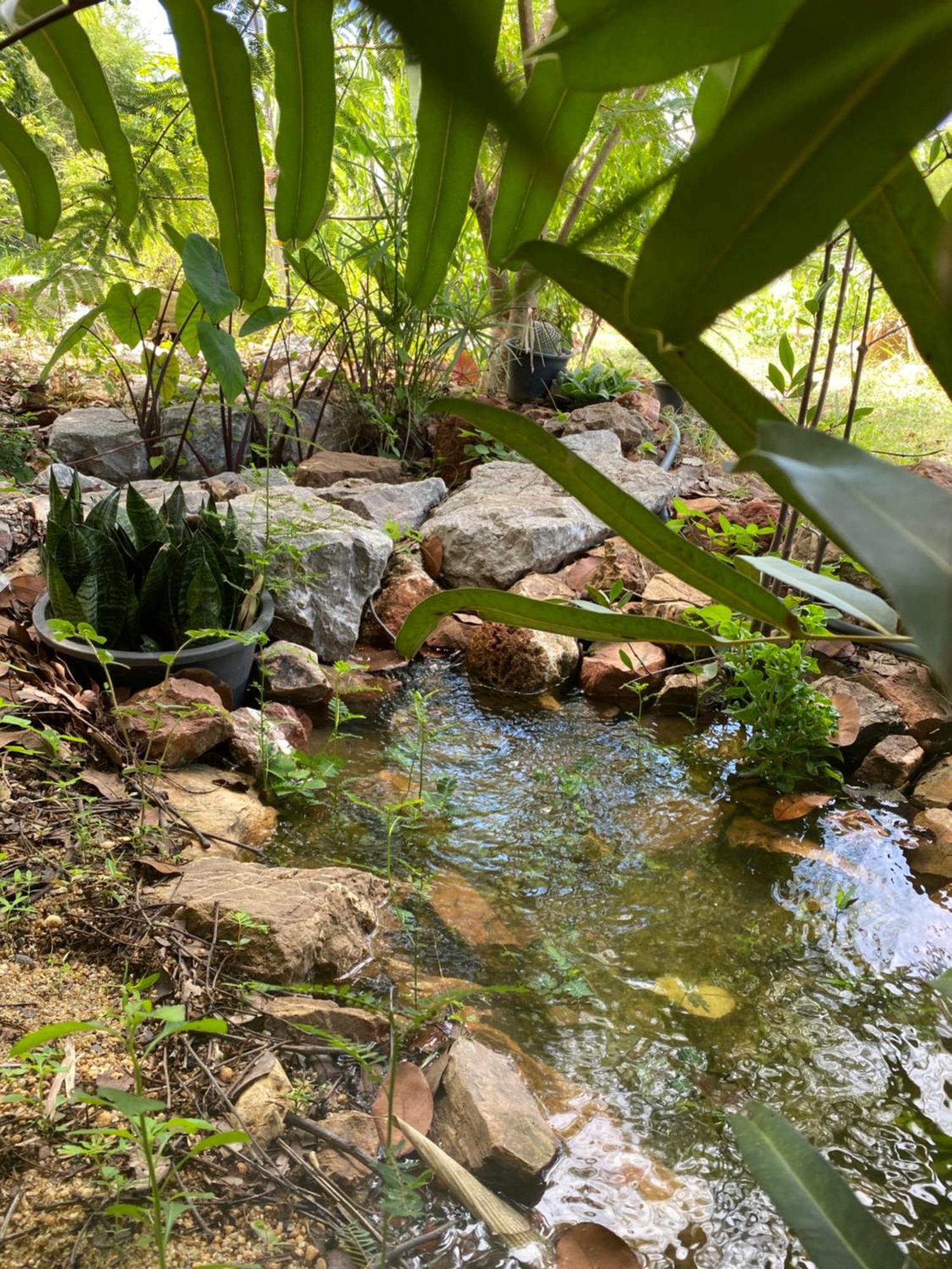 Royal Mountain View Ratchaburi Villa Ngoại thất bức ảnh